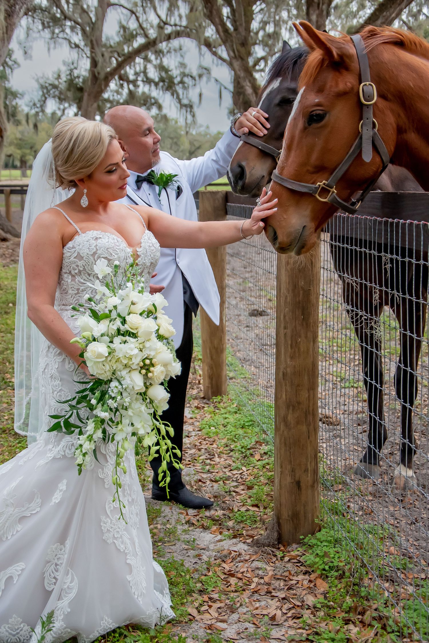 Bride and groom in wedding attire petting brown horses at a fence, bride holding white floral bouquet outdoors.