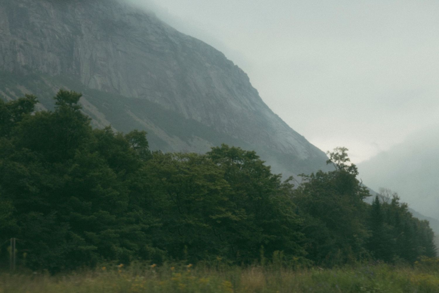 Misty green forest at the base of a dramatic rocky mountain cliff in fog.