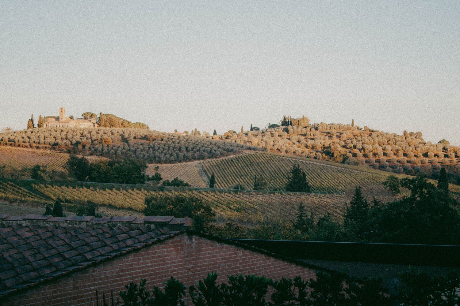 Golden Tuscan hillside landscape with cypress trees, vineyards, and hilltop villas at sunset.