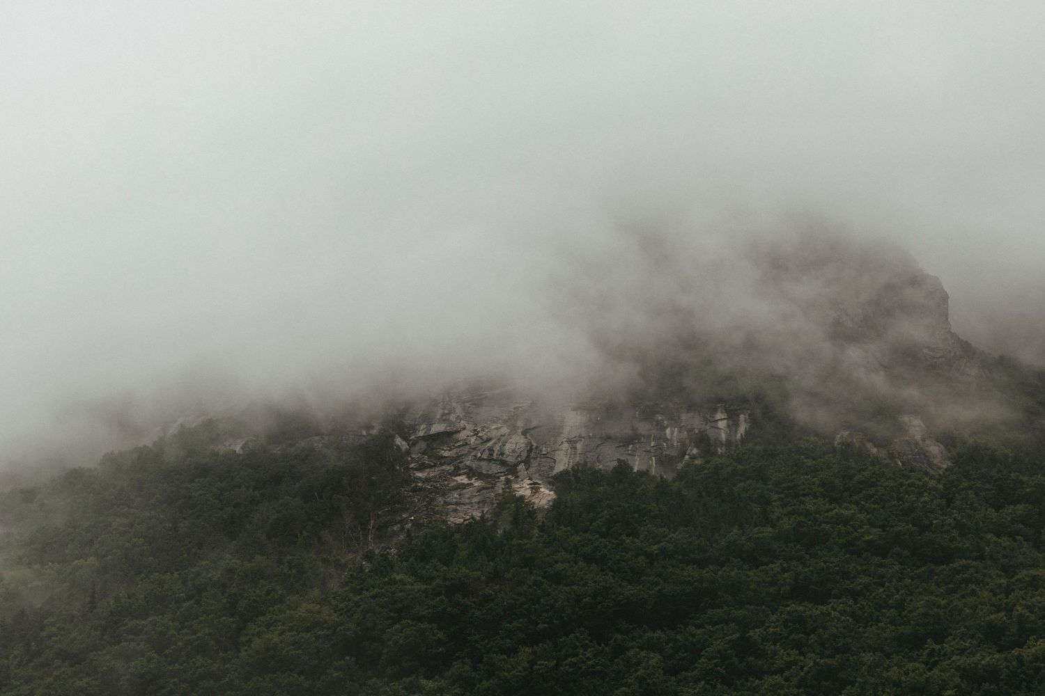 Dense green forested mountain peak shrouded in thick white fog and low clouds.