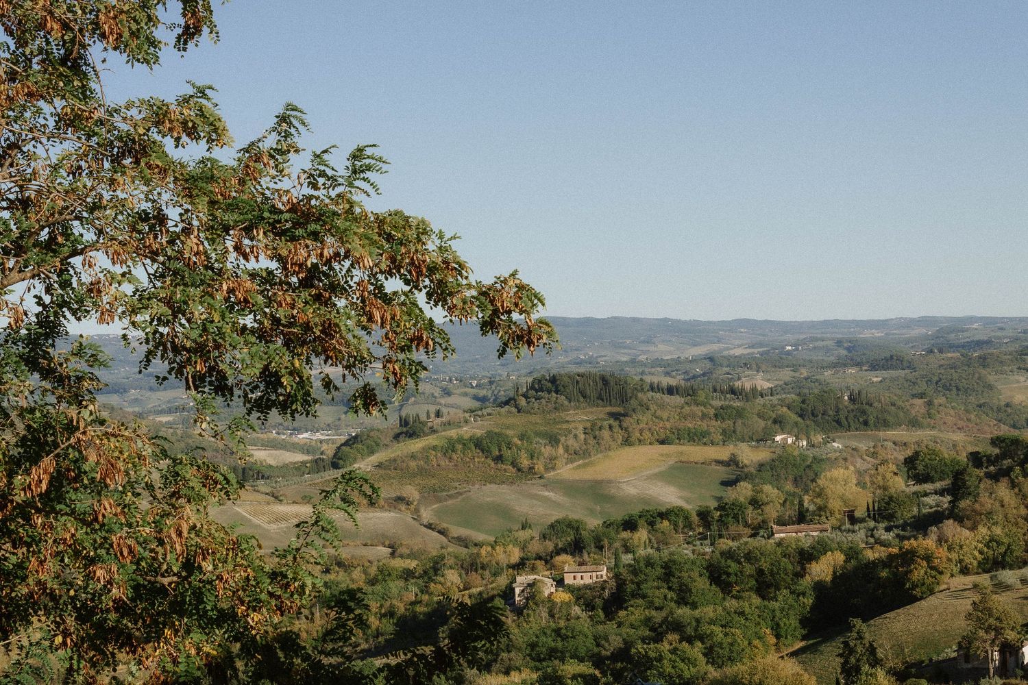 Panoramic view of rolling Tuscan hills with vineyards and farmland framed by autumn foliage.