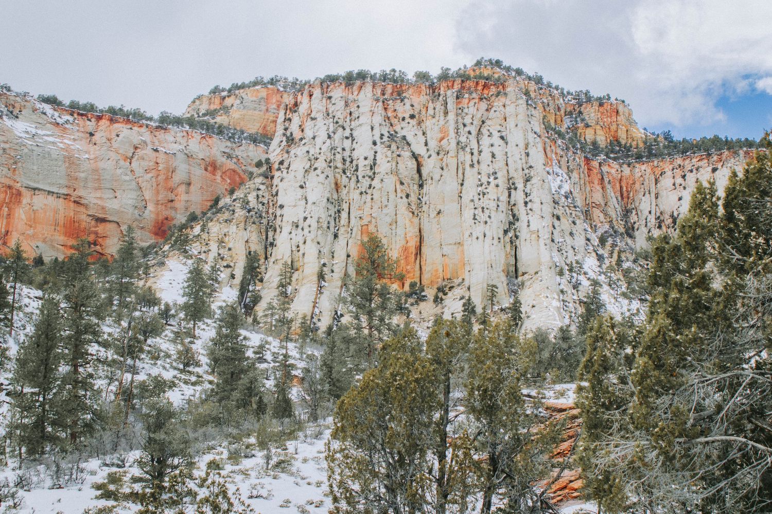 Snow-dusted red and orange sandstone cliffs with evergreen trees in Zion National Park.