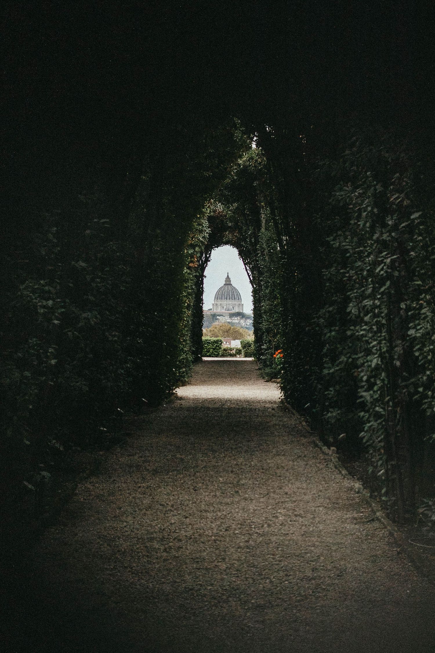 Dark hedge tunnel framing a distant view of St. Peters Basilica dome in Rome.