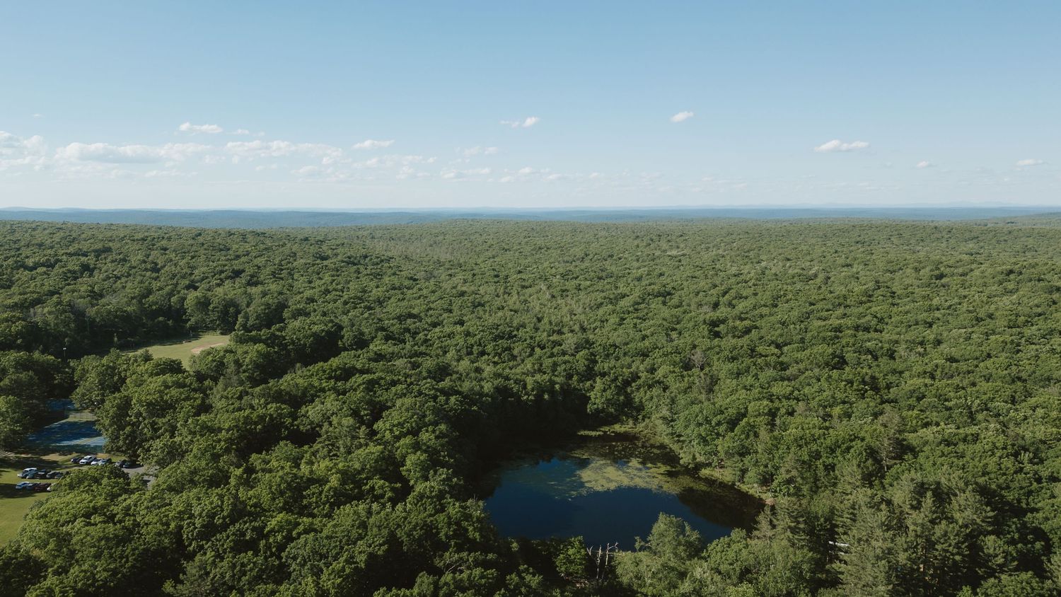 Aerial view of vast green forest with a small pond nestled among trees under a clear blue sky.