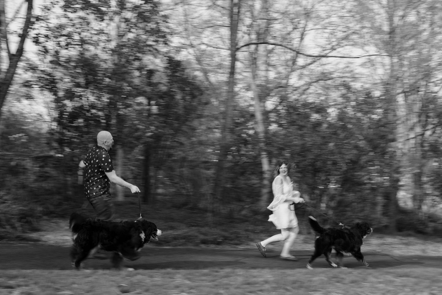 Two women walk large black dogs on a path surrounded by trees in this black and white outdoor photo.