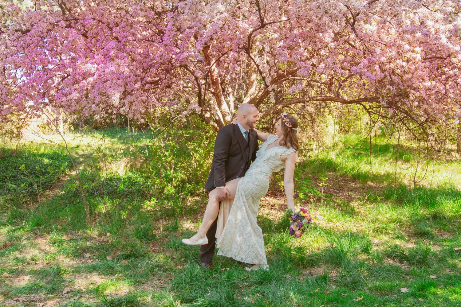 A romantic wedding photo under blooming pink cherry blossoms in springtime.