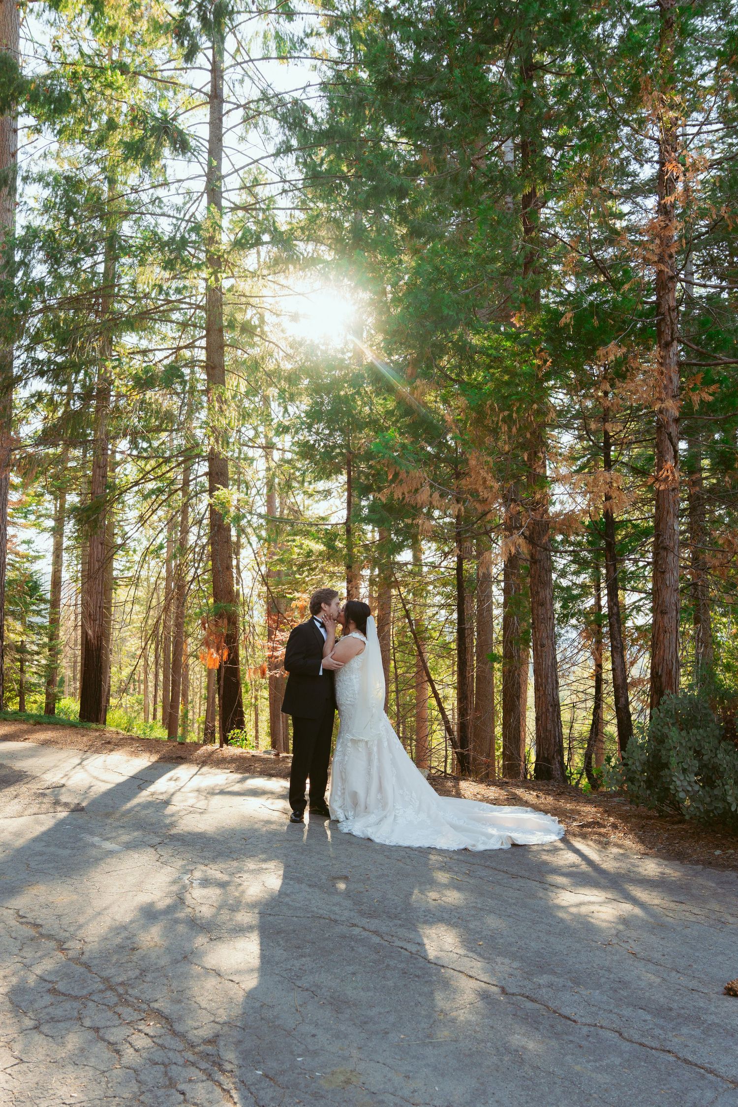 Sunlight streams through tall pine trees as newlyweds pose on a forest path in their wedding attire.