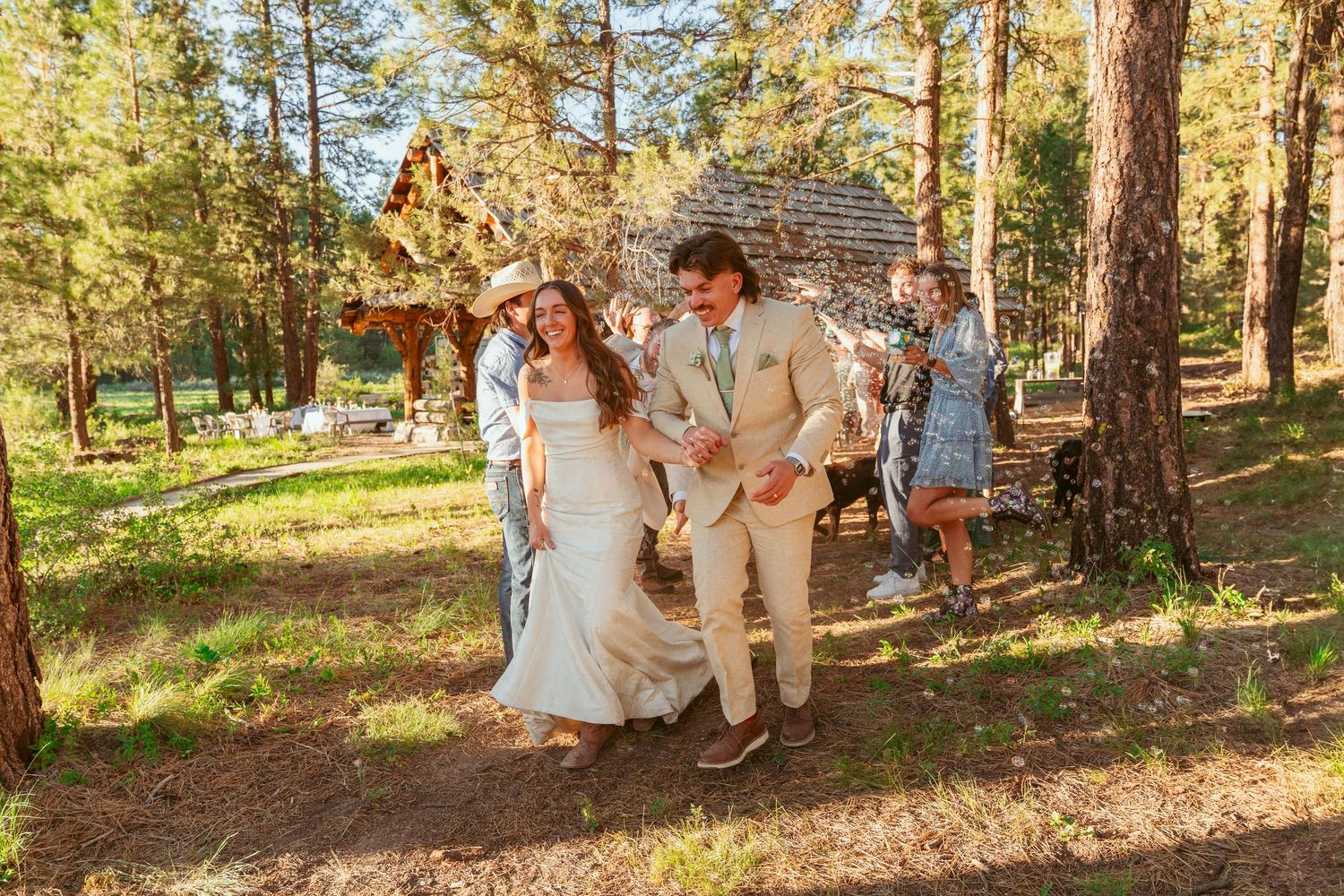 Panoramic view of wedding celebration in a pine forest setting with natural sunlight filtering through.