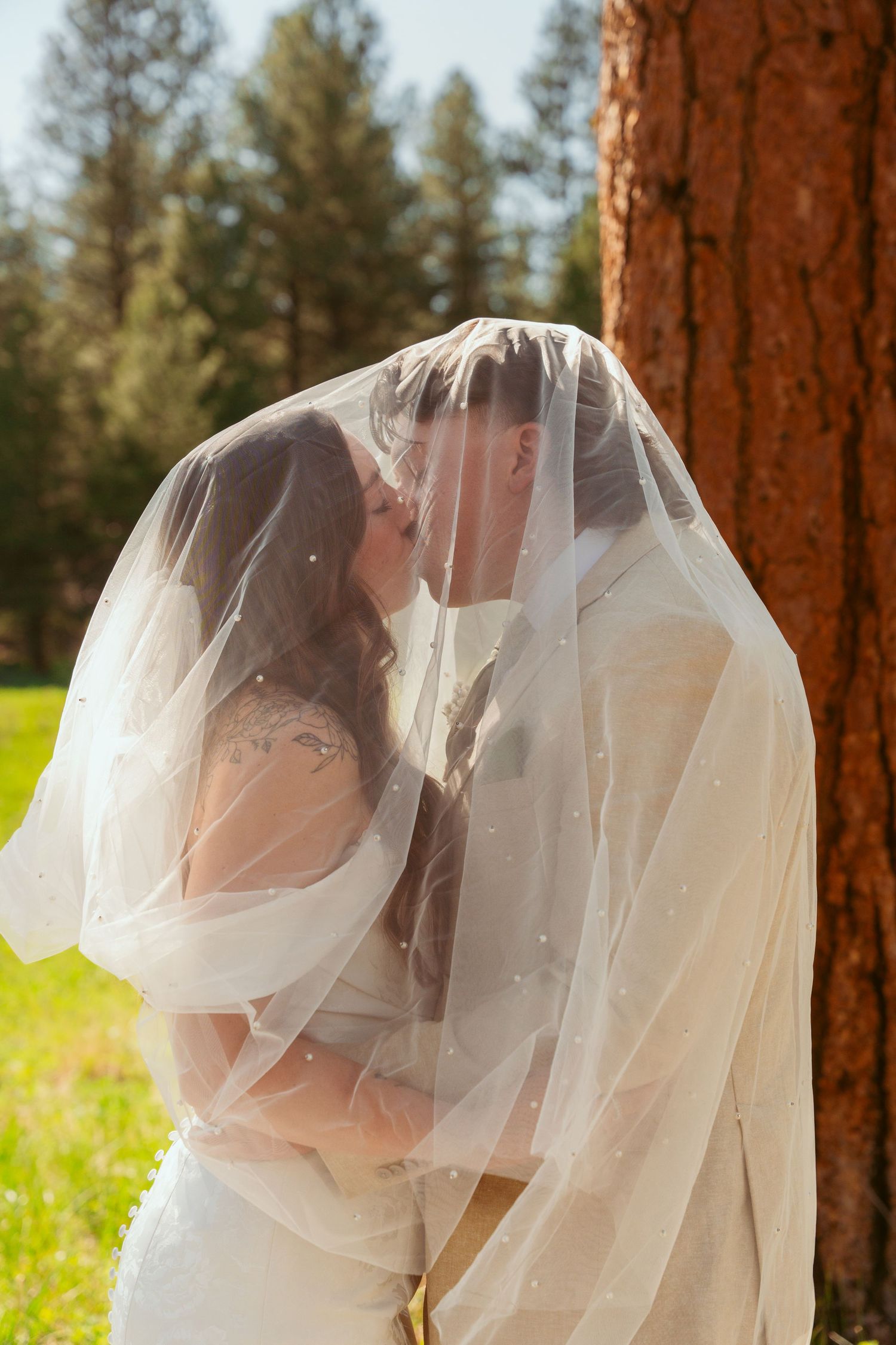 A romantic wedding moment under a sheer veil in a sunlit forest setting with tall pine trees in the background.