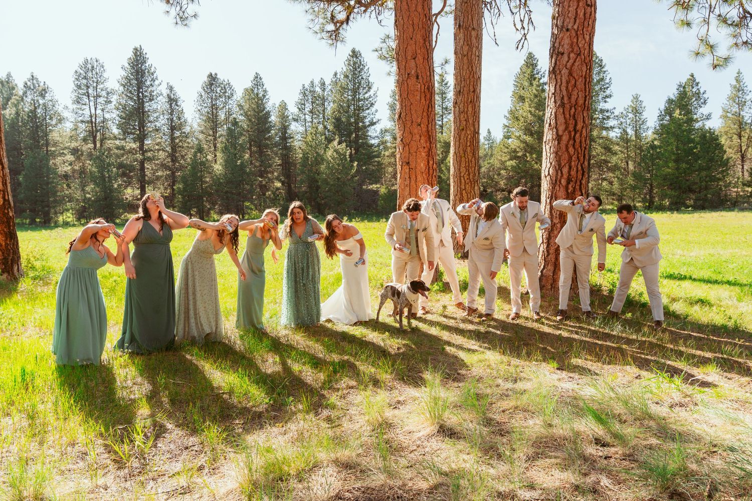 Wedding party arranged in a long line among towering pine trees in a forest setting.