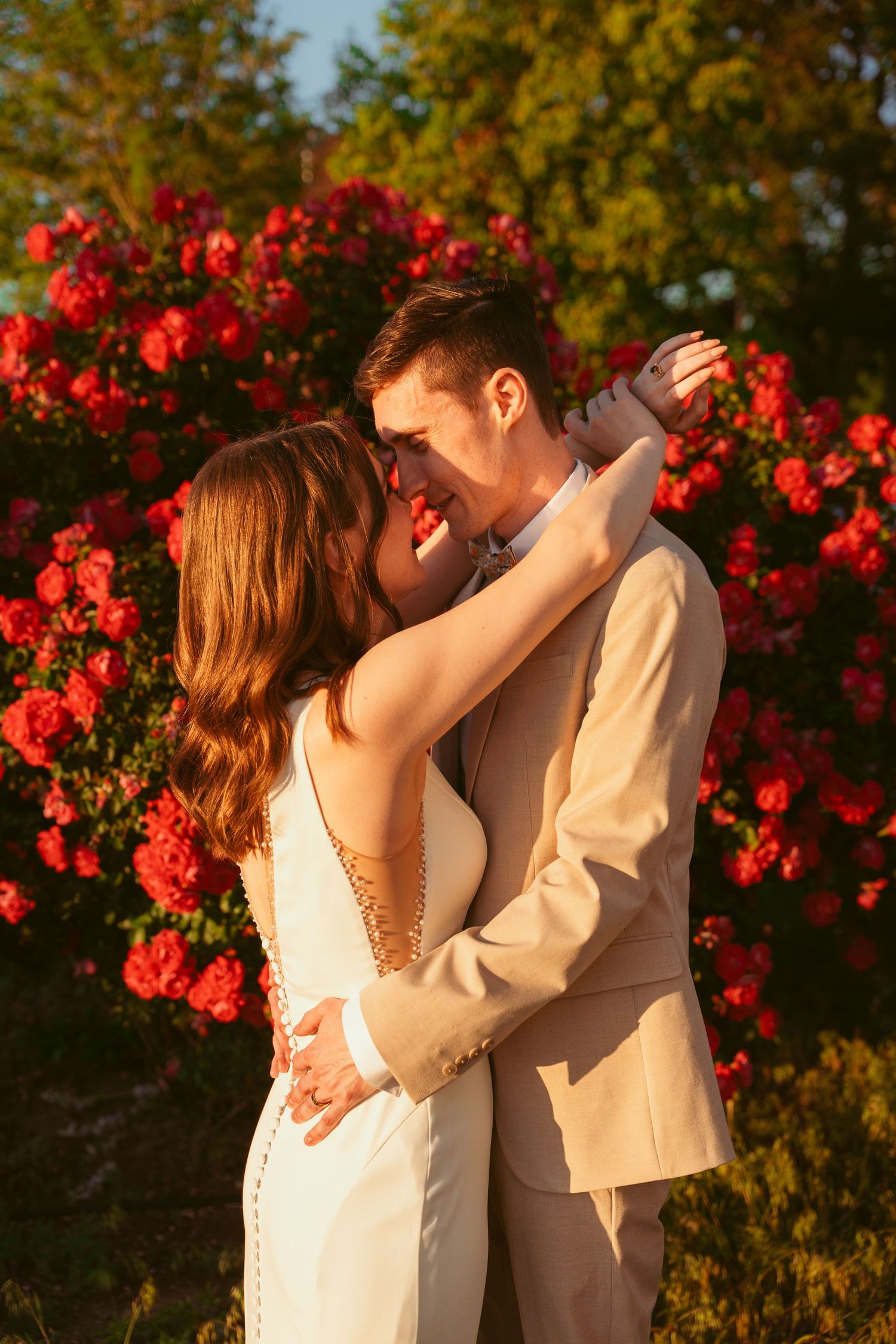 Golden hour wedding portrait with couple embracing against backdrop of blooming red roses.