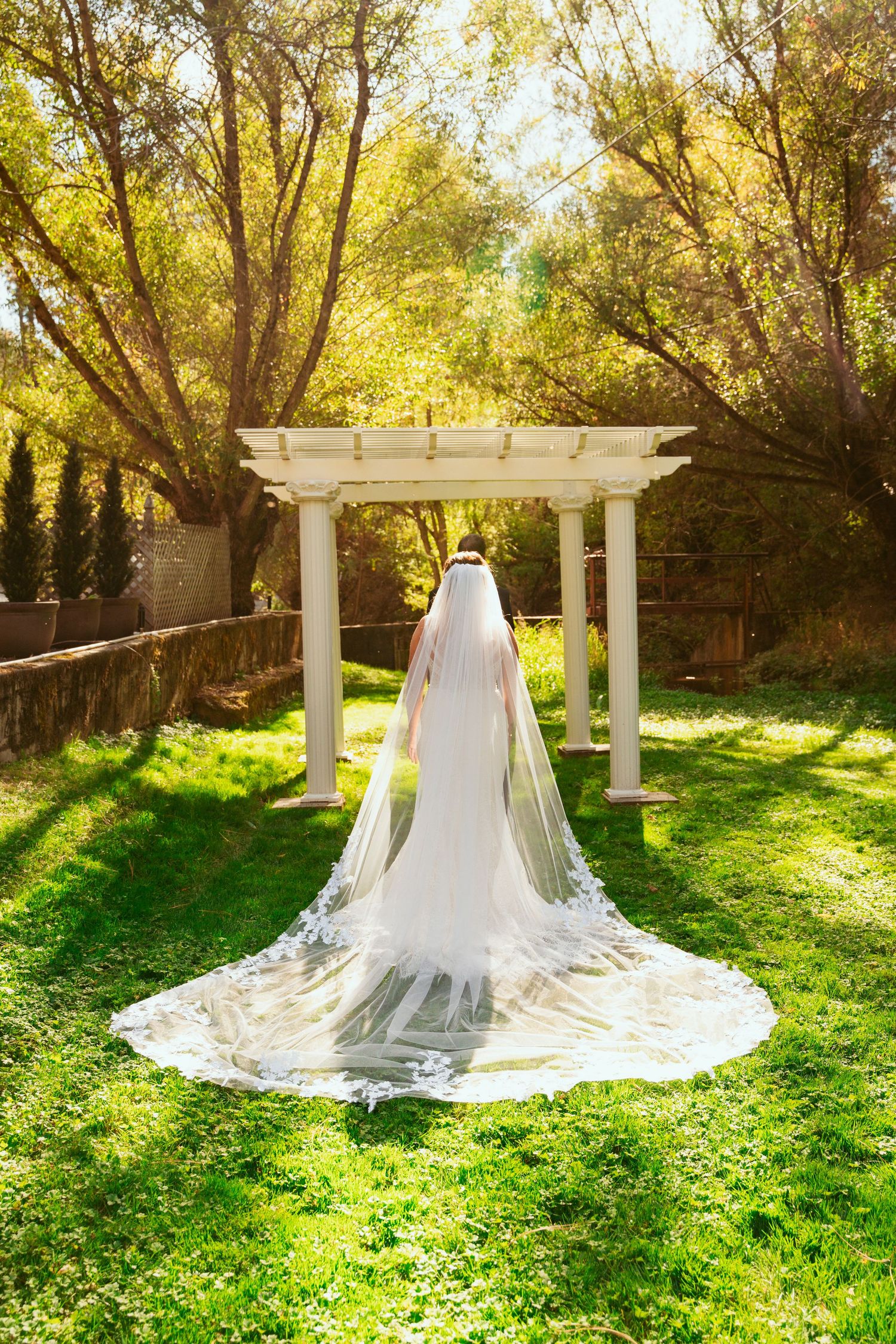 A flowing cathedral veil and wedding dress create a stunning silhouette under a white pergola in dappled sunlight.
