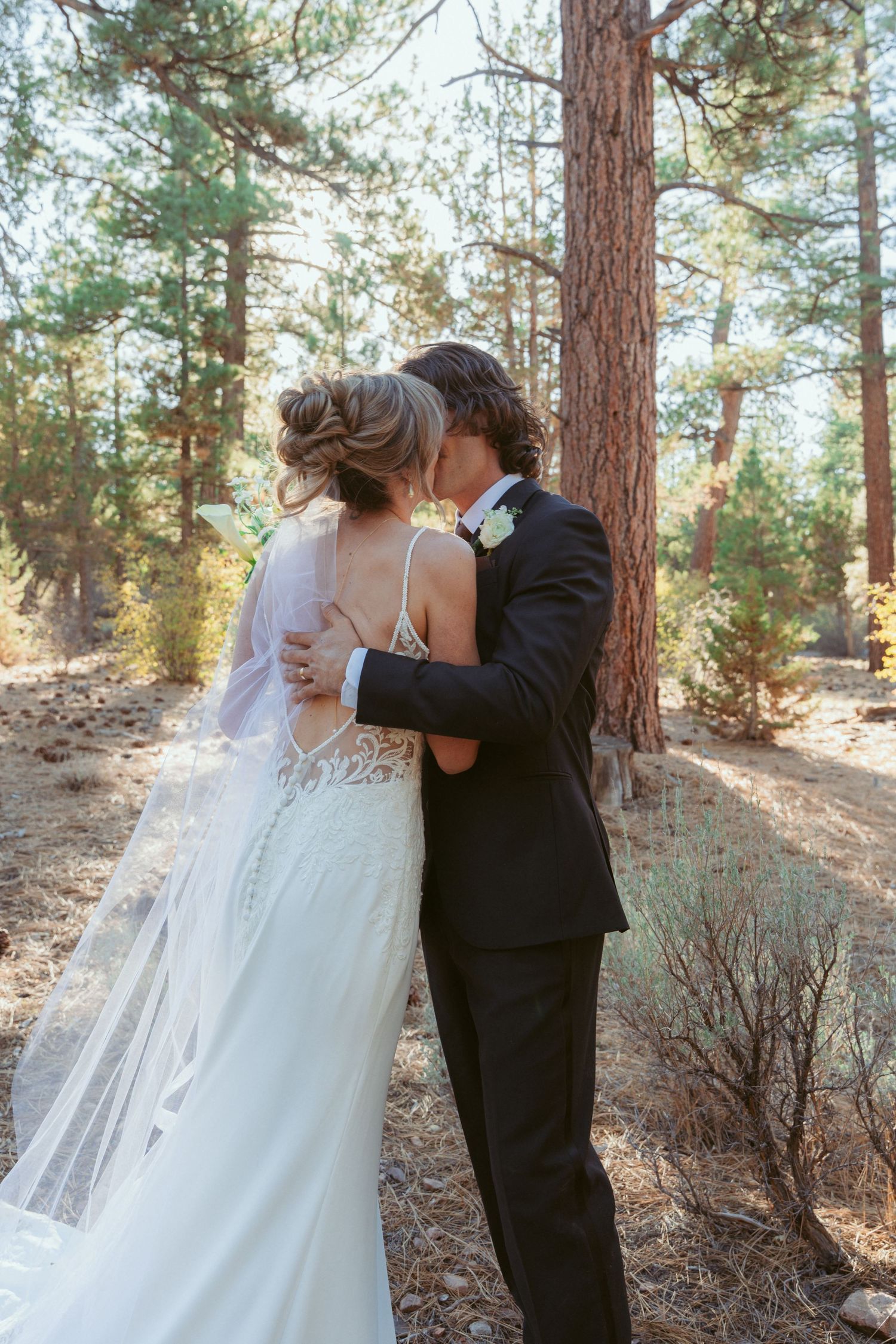 A romantic wedding portrait series captured between tall pine trees in natural lighting.