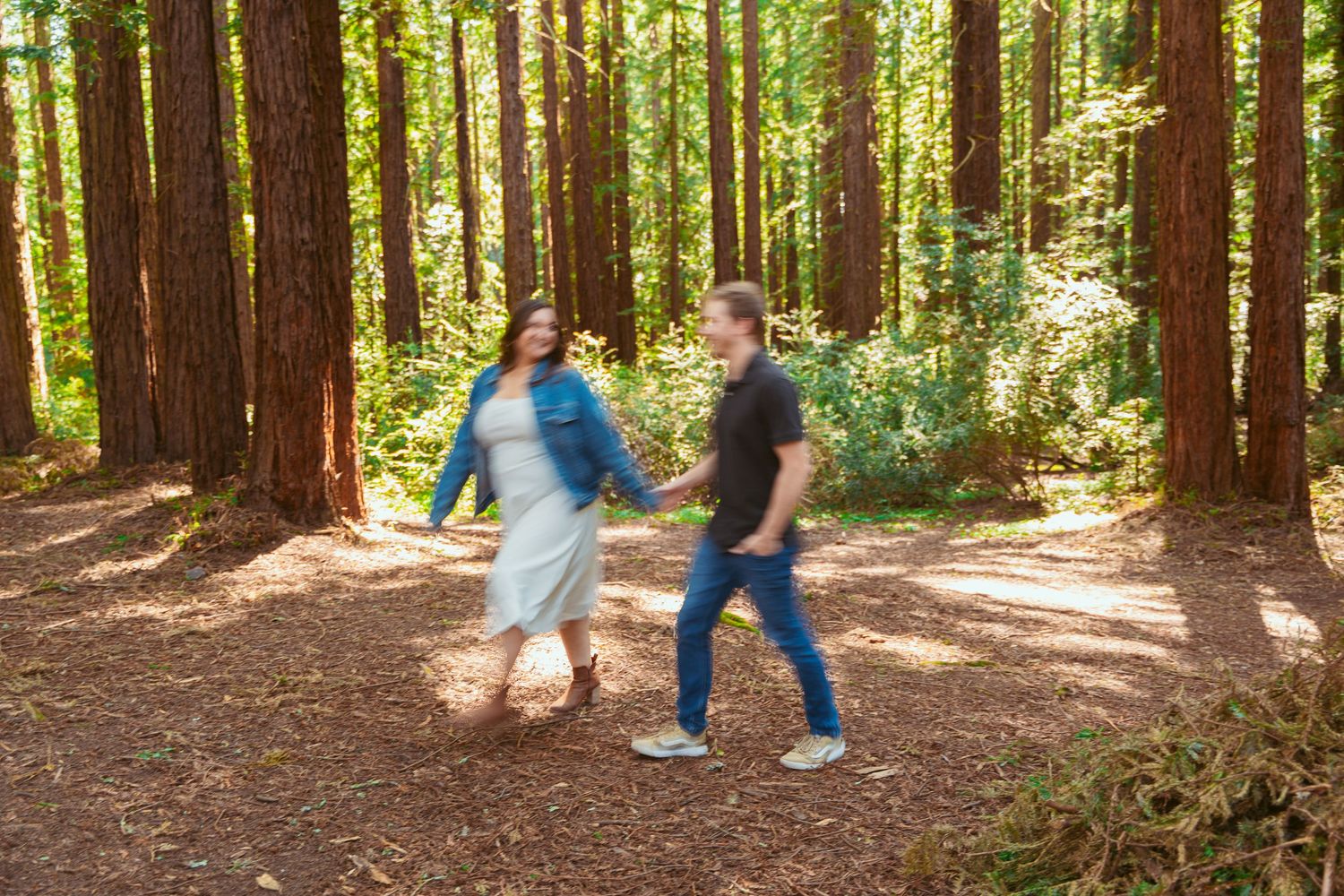 A couple walks through a sunlit redwood forest on a path surrounded by towering trees.