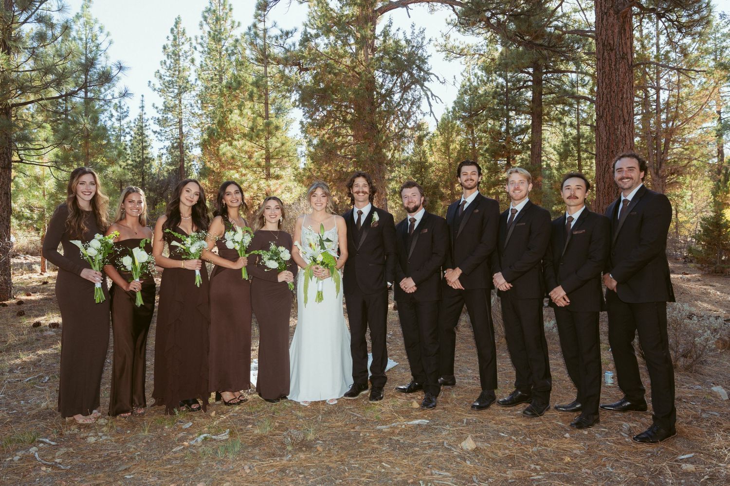 Full wedding party lined up formally for photos in a pine forest setting.