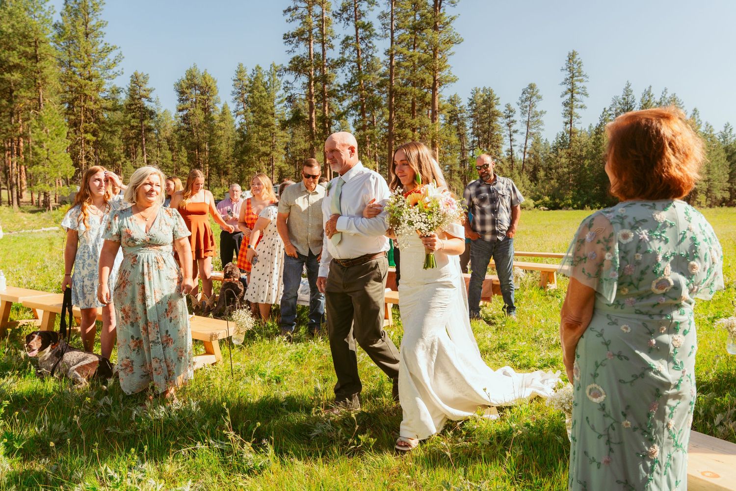 Joyful wedding celebration in a mountain meadow with guests and pine trees in background.