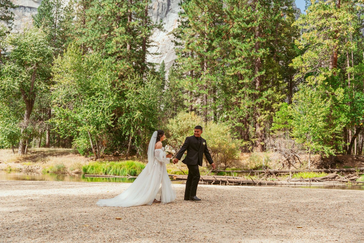 Panoramic view of a forest clearing with majestic granite cliffs and evergreen trees.