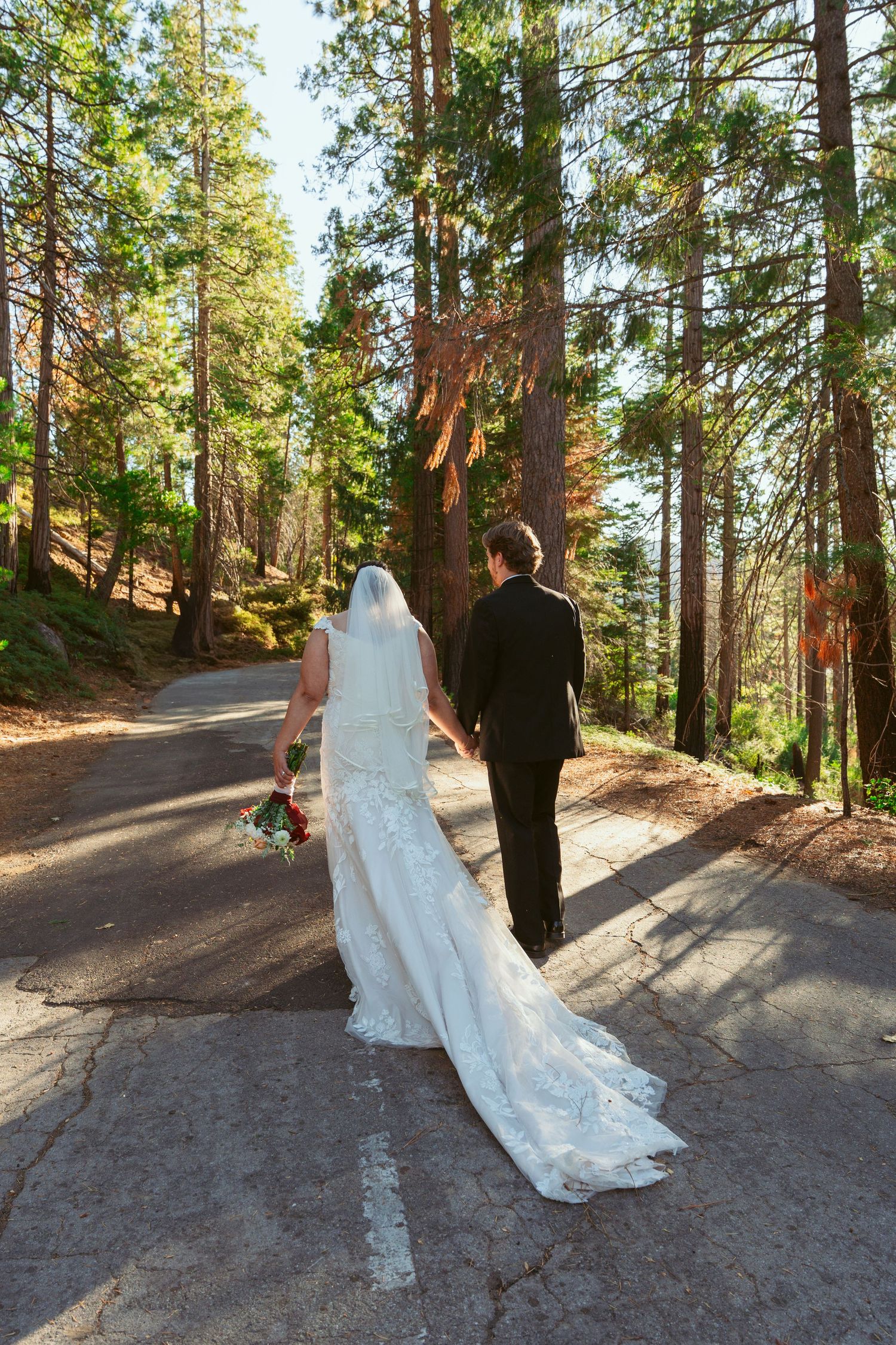 A wedding couple poses on a forest path surrounded by majestic redwood trees.