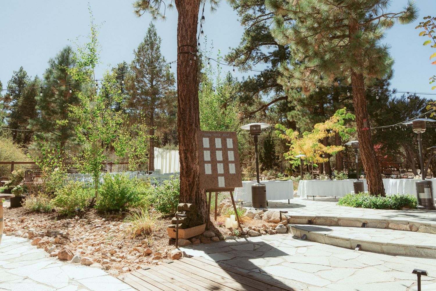 Outdoor wedding venue with pine trees and natural landscape.
