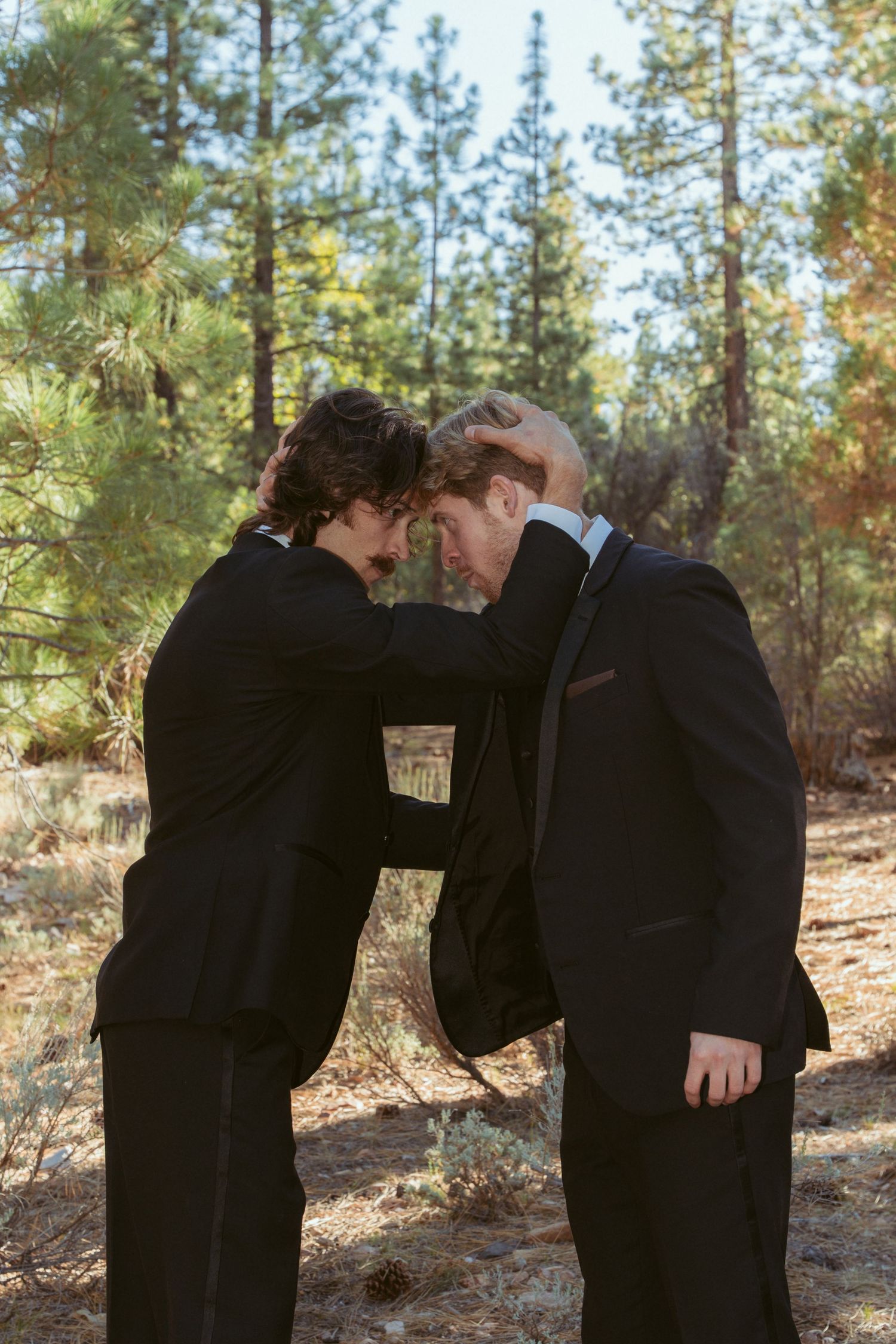Two people in formal black suits share an intimate moment in a pine forest.