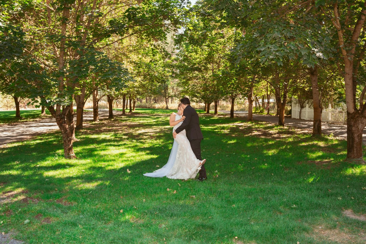 Wedding photos being taken in a scenic park with dappled sunlight through trees.