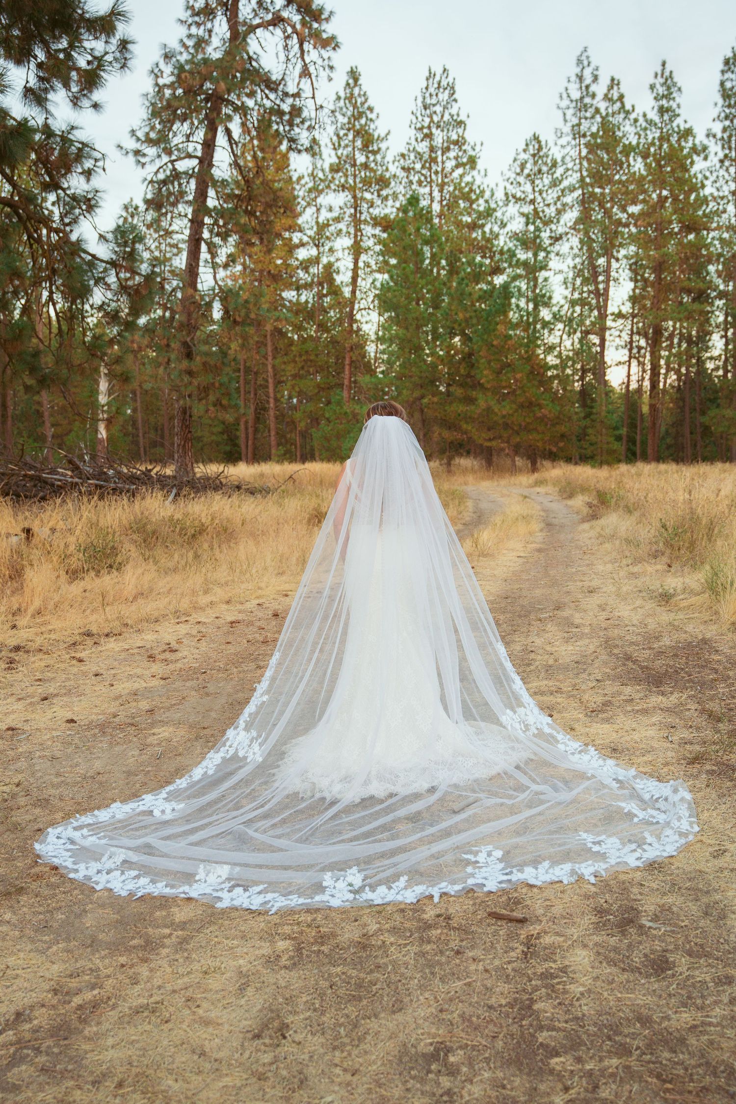 A flowing white lace wedding veil spreads beautifully across a dirt path surrounded by pine trees.
