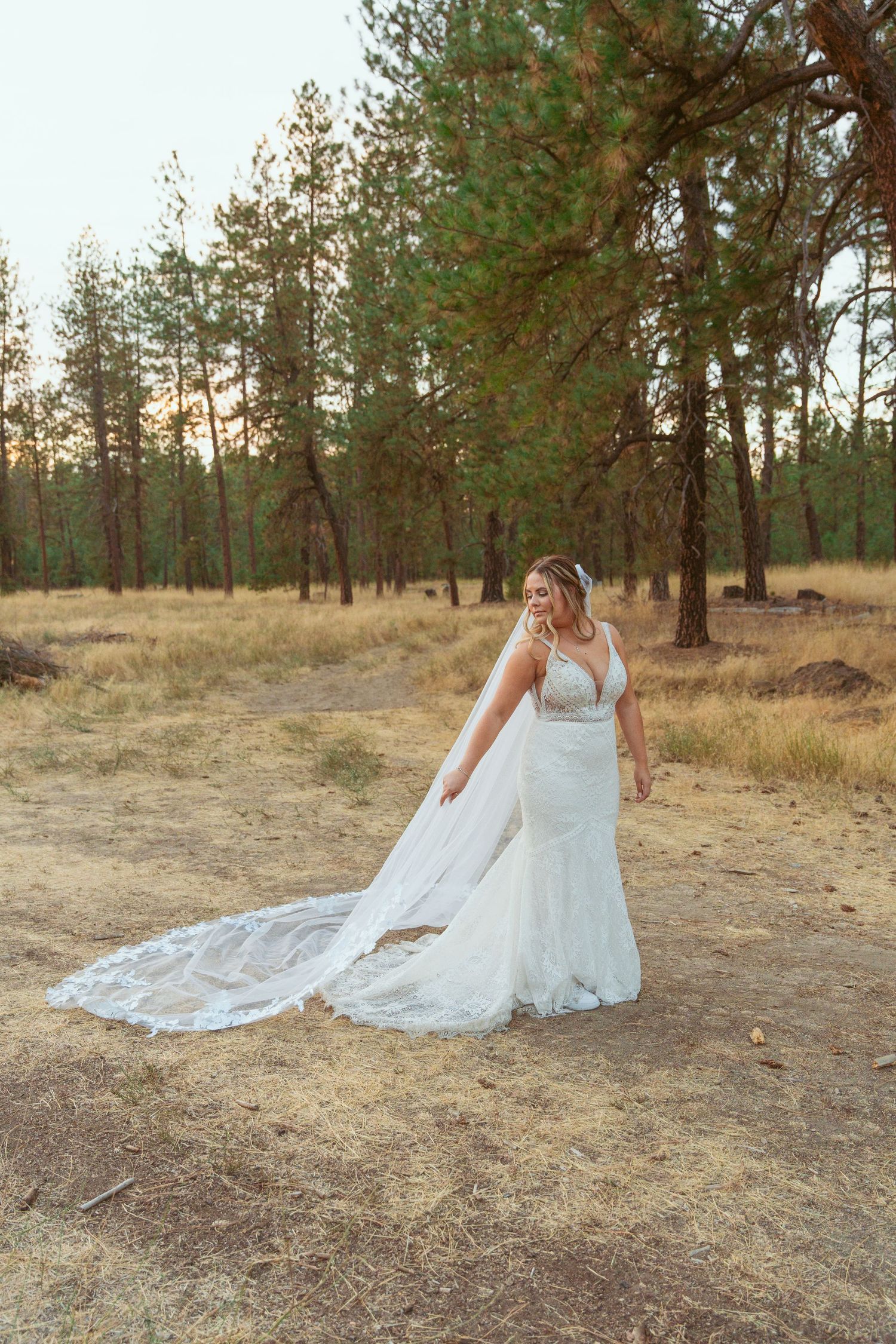 Long white wedding dress train flowing across dry grass in a pine forest setting.