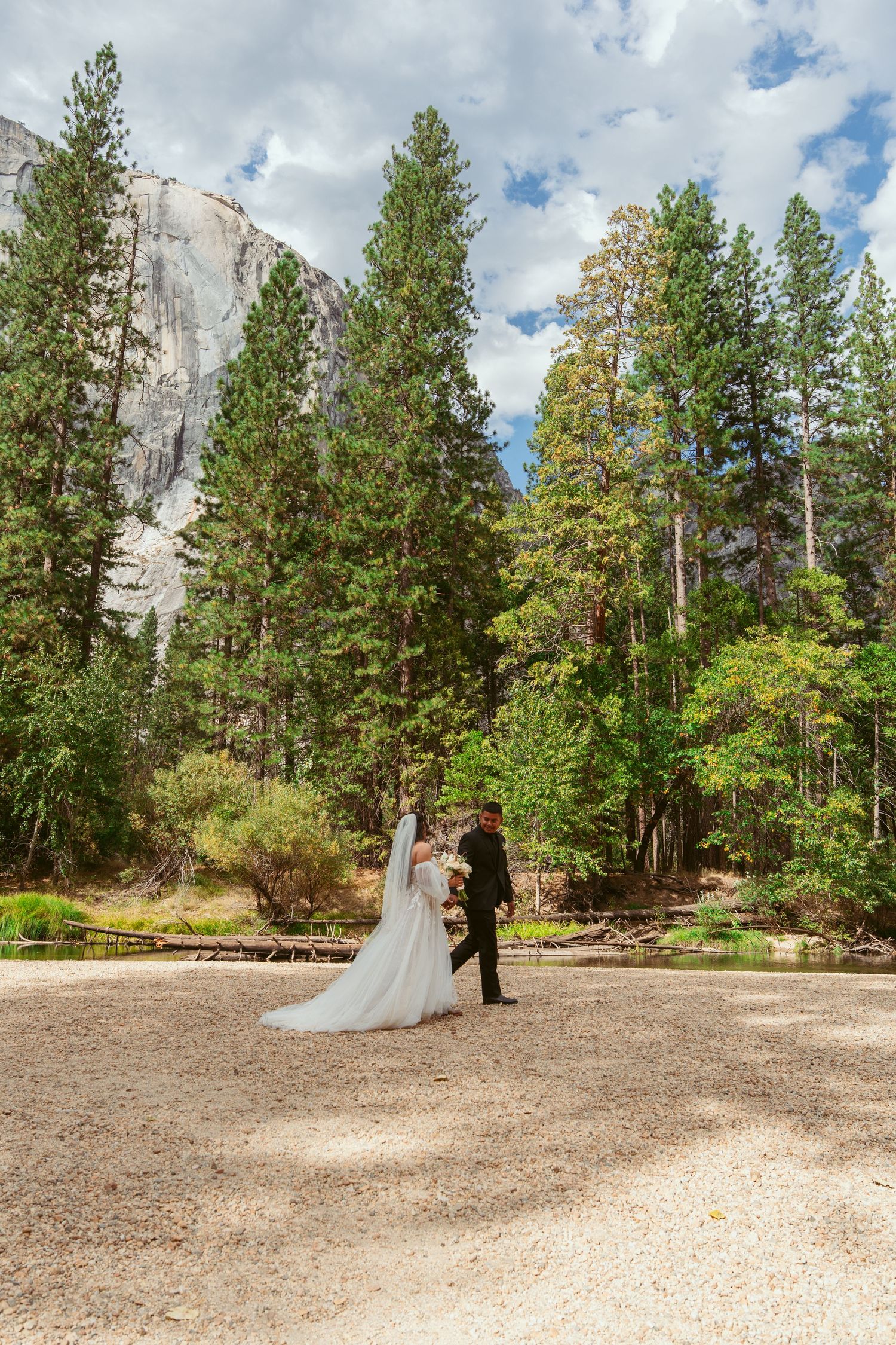 Scenic mountain landscape with tall pine trees serves as backdrop for outdoor wedding photography.