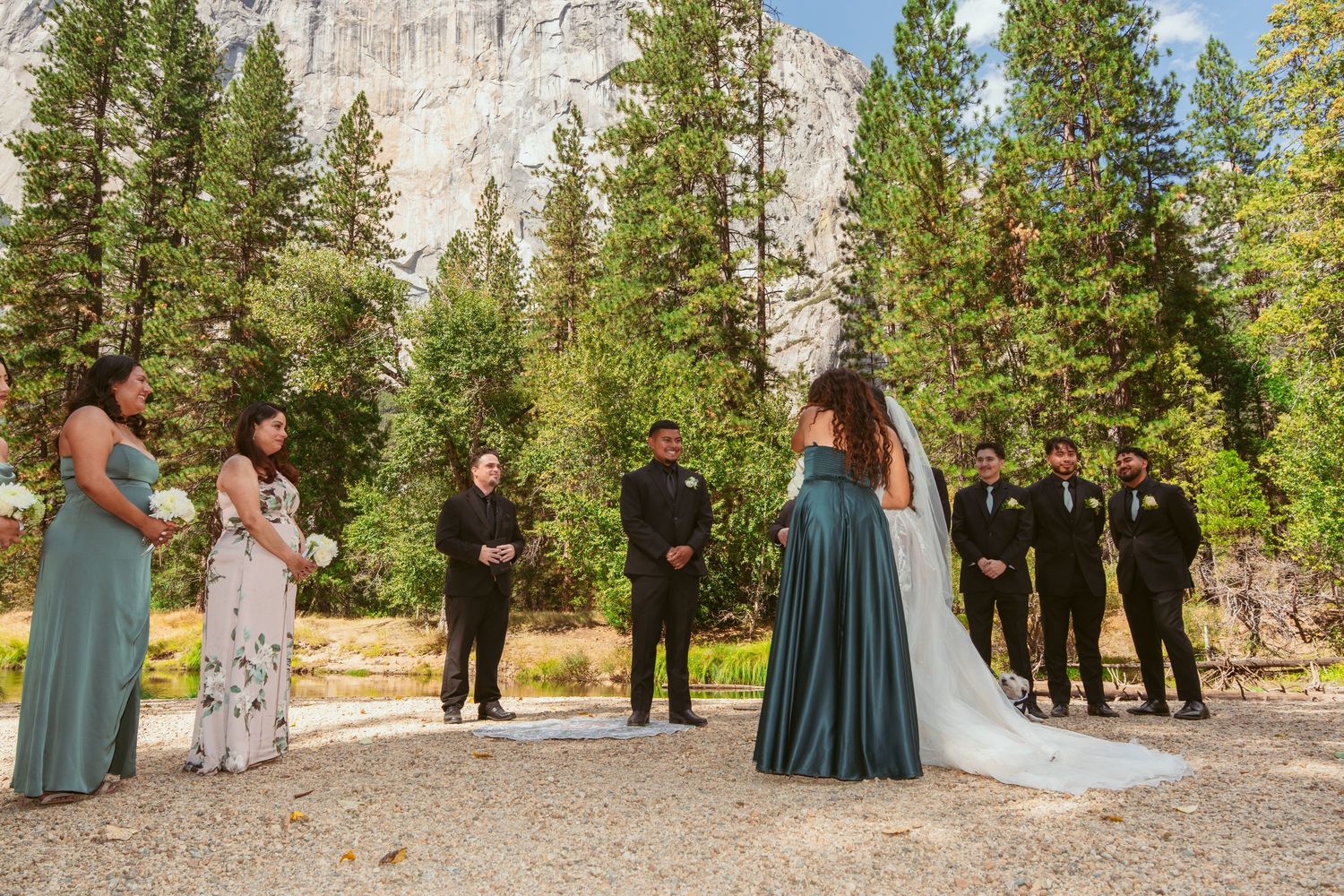 Wedding party arranged for photos with Yosemite's dramatic mountain landscape behind them.