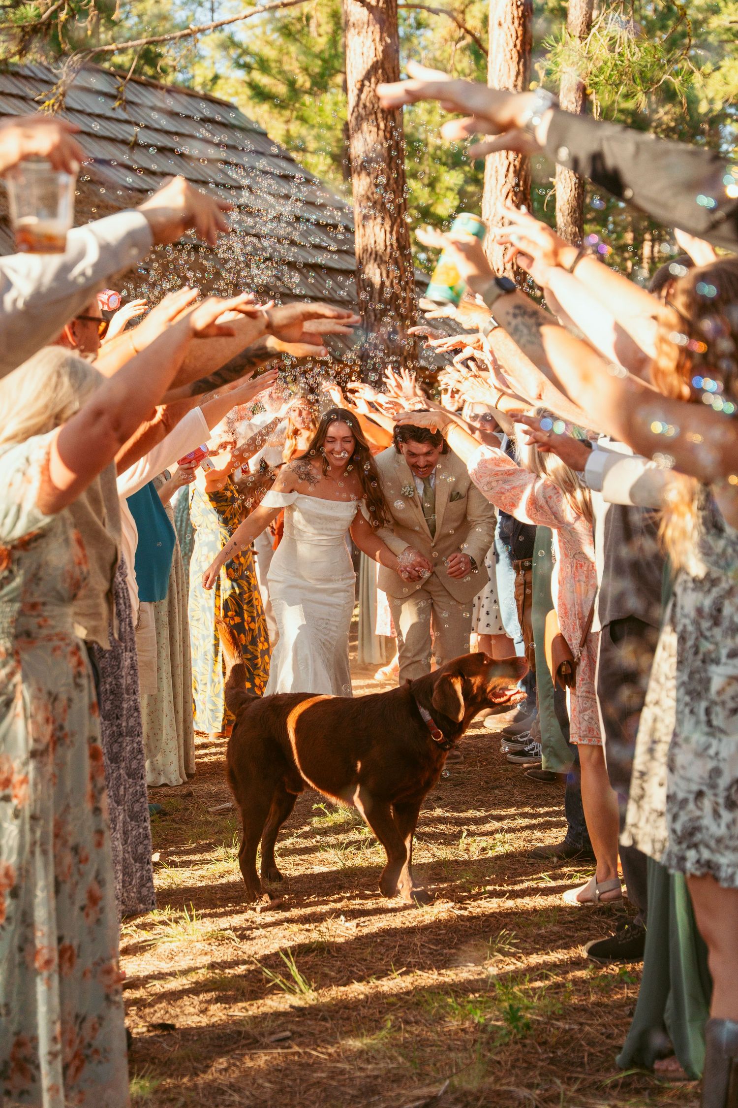 Wedding guests form a line with raised arms during a group dance at an outdoor forest venue.
