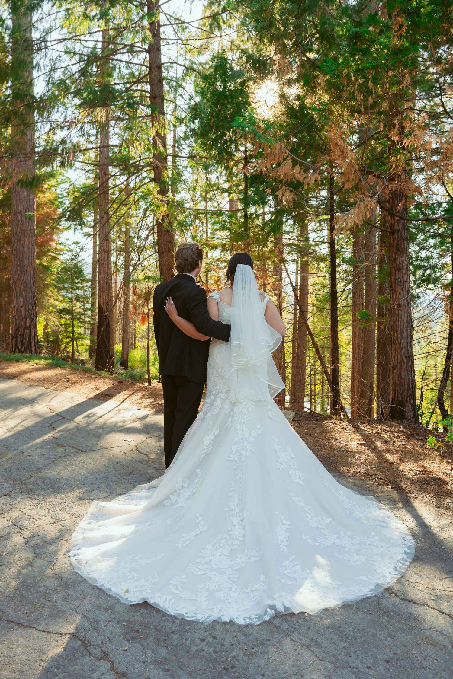 A wedding couple stands on a sunlit forest path with the bride's dramatic lace train in full view.