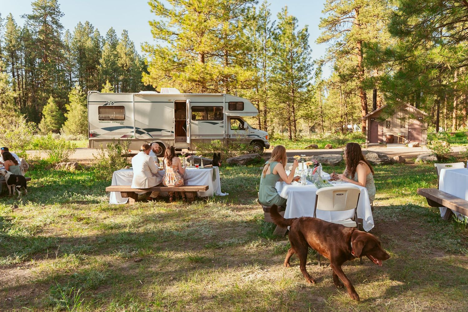 Forest wedding setup with vintage trailers and decorations among tall pine trees.