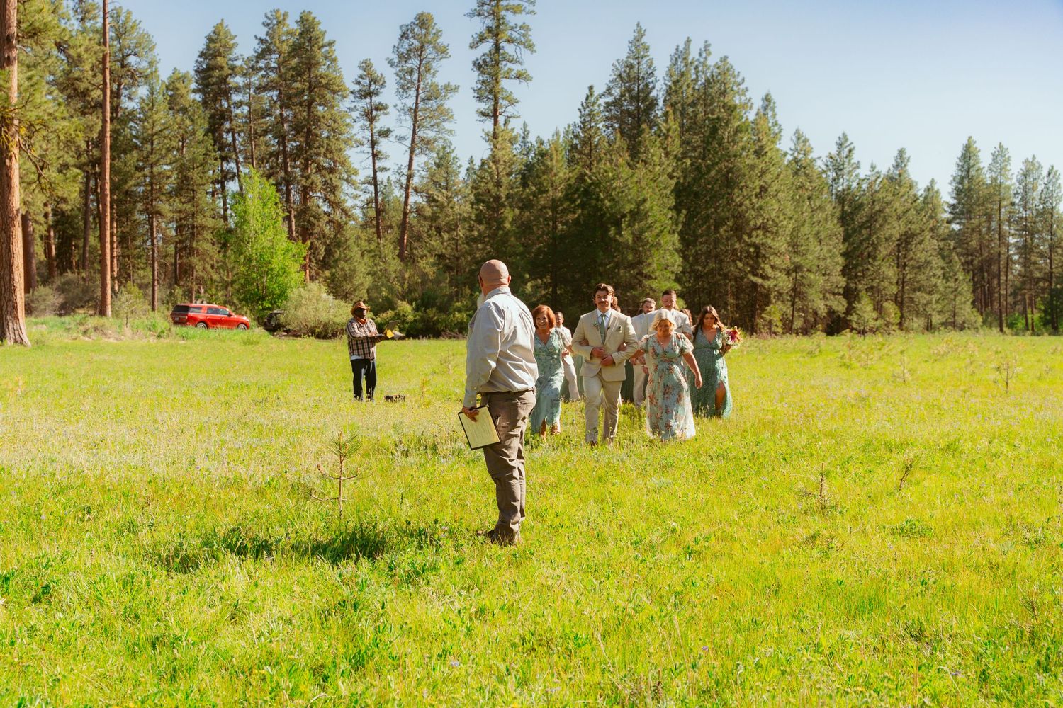 Pine forest landscape with green meadow and scattered wedding guests in the distance.