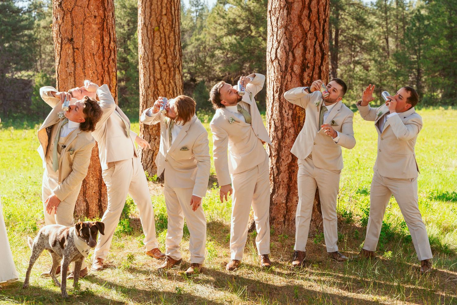 Wedding party members dance in formation between tall forest trees.