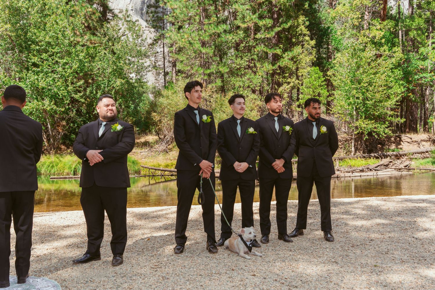 Wedding party members in formal attire gathered for group photo in Yosemite's natural setting.