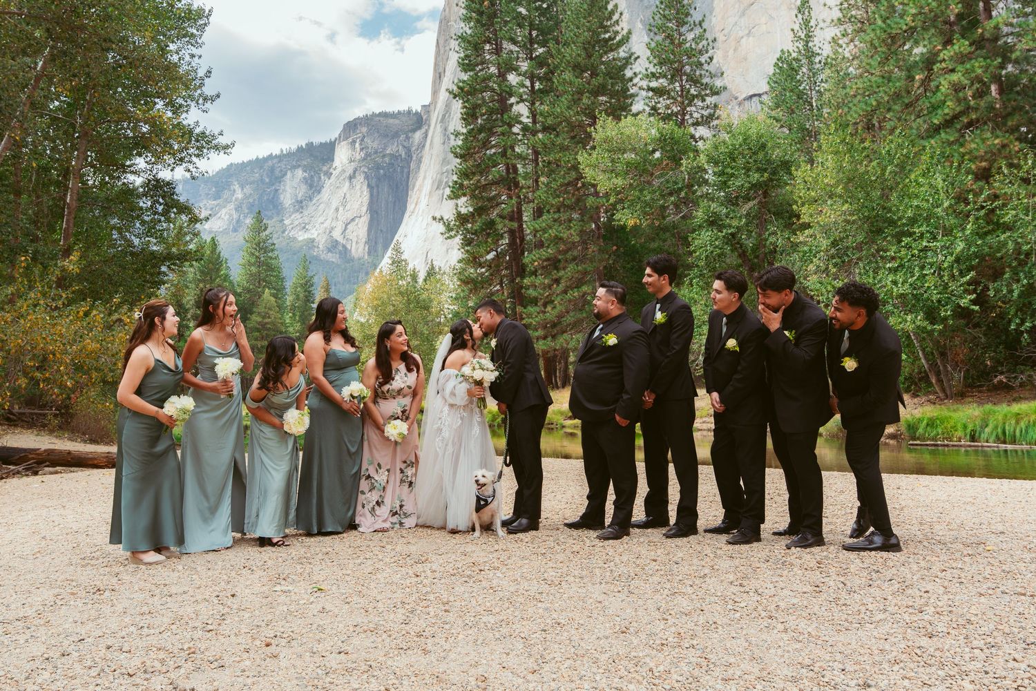 Wedding party in blue dresses and black suits lined up with Yosemite's granite cliffs in background.