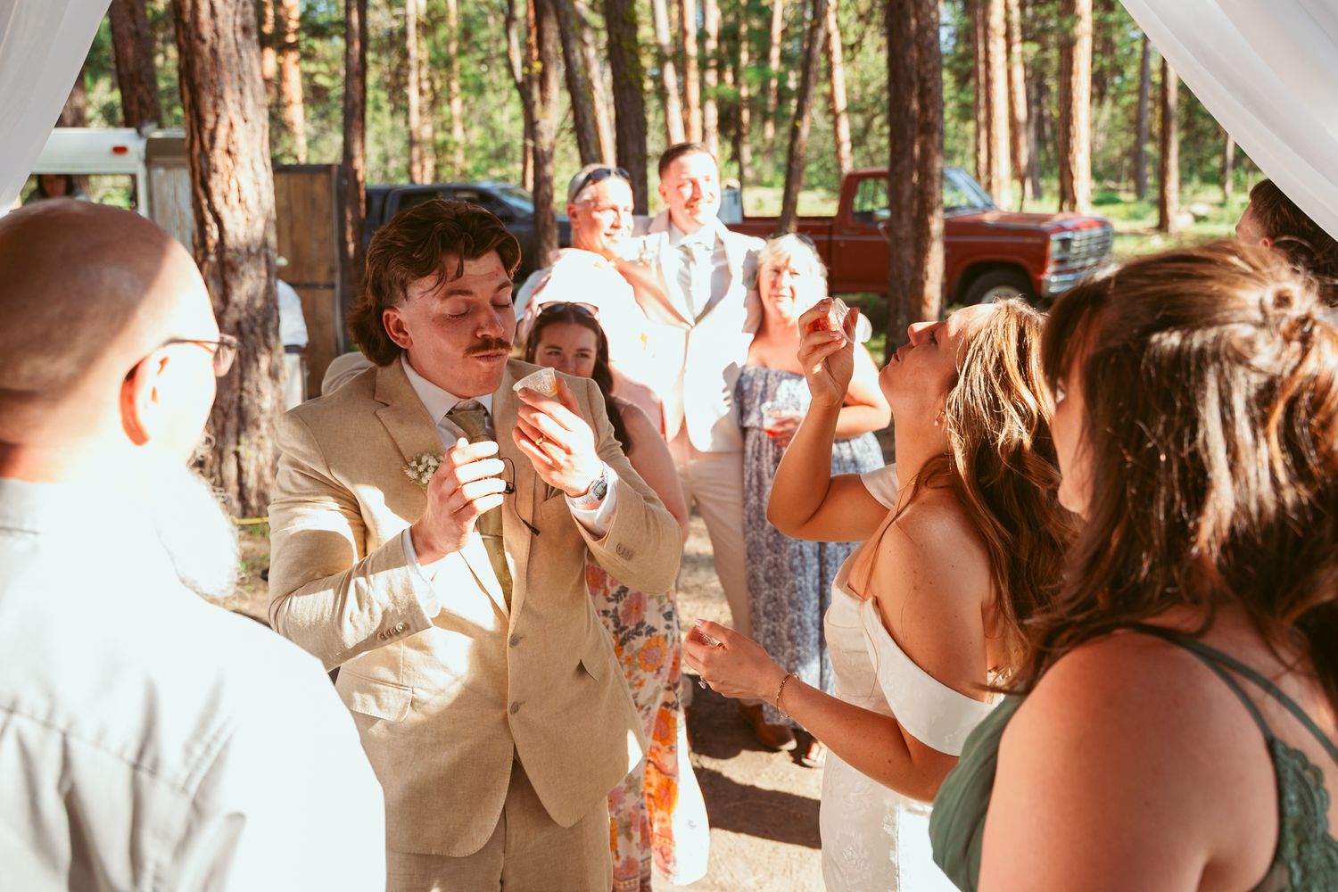 Wedding party dances beneath draped fabric in a forest pavilion setting.