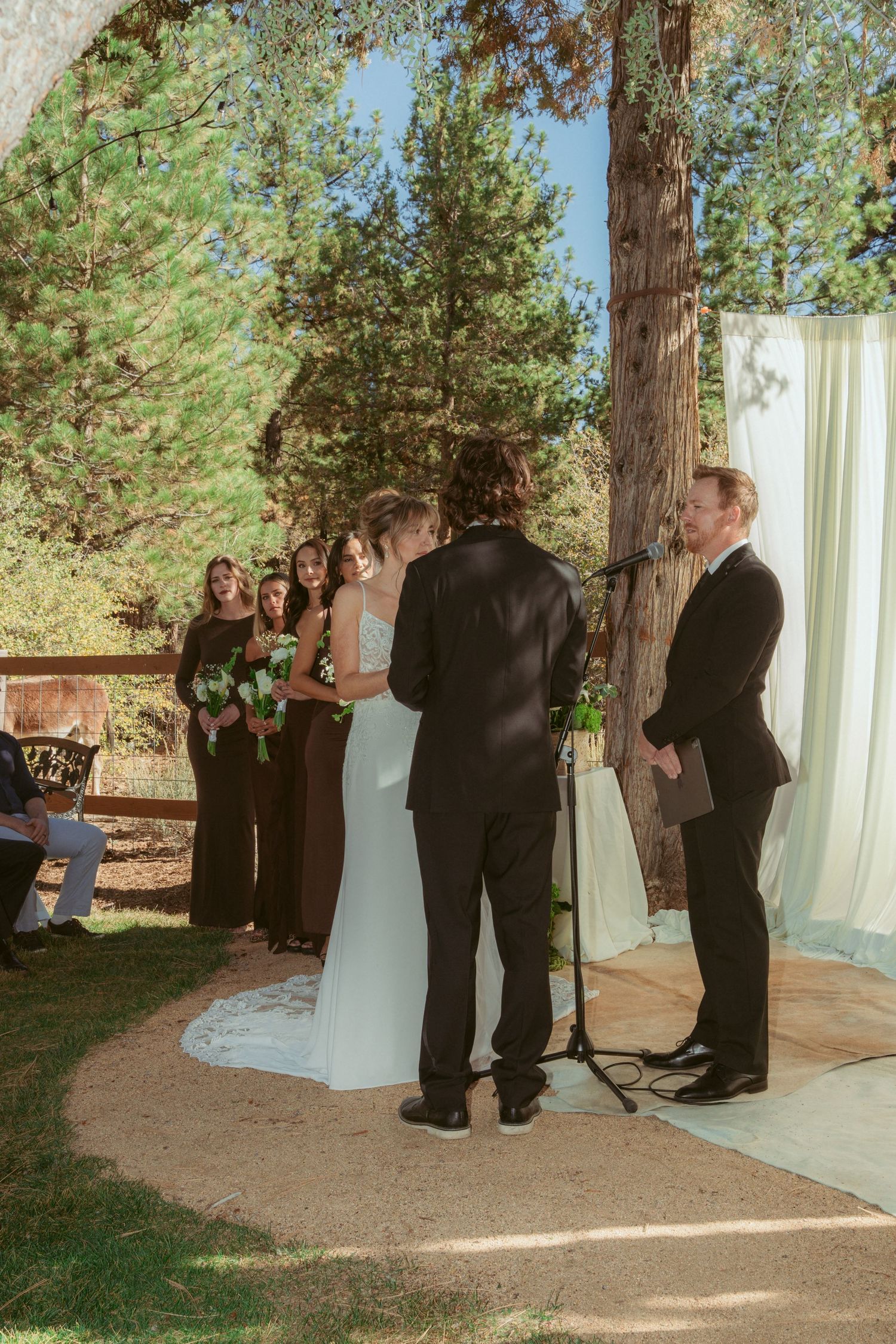 Outdoor wedding ceremony participants gathered beneath tall pine trees and white draping.