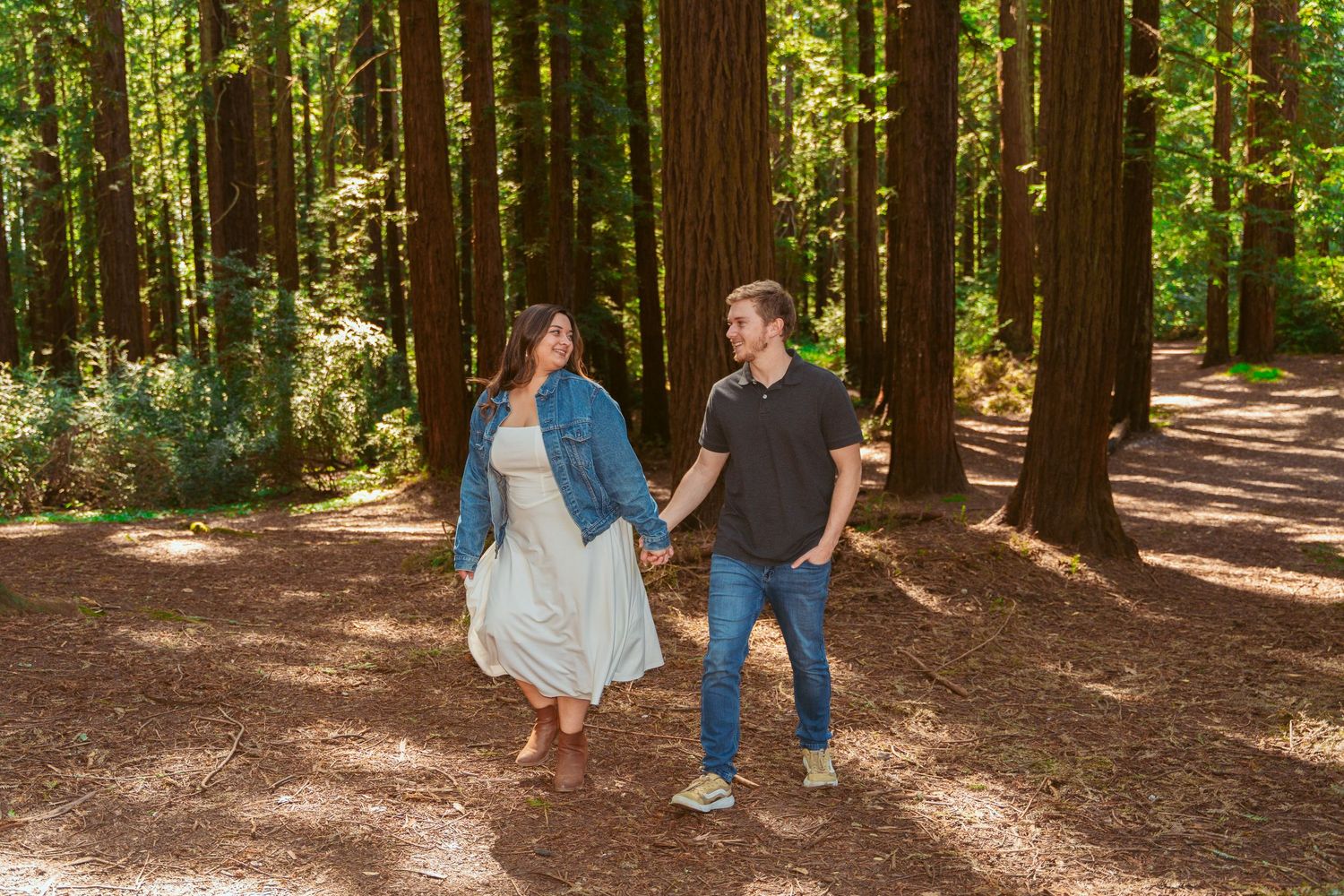 Couple strolls together through a serene redwood forest trail.
