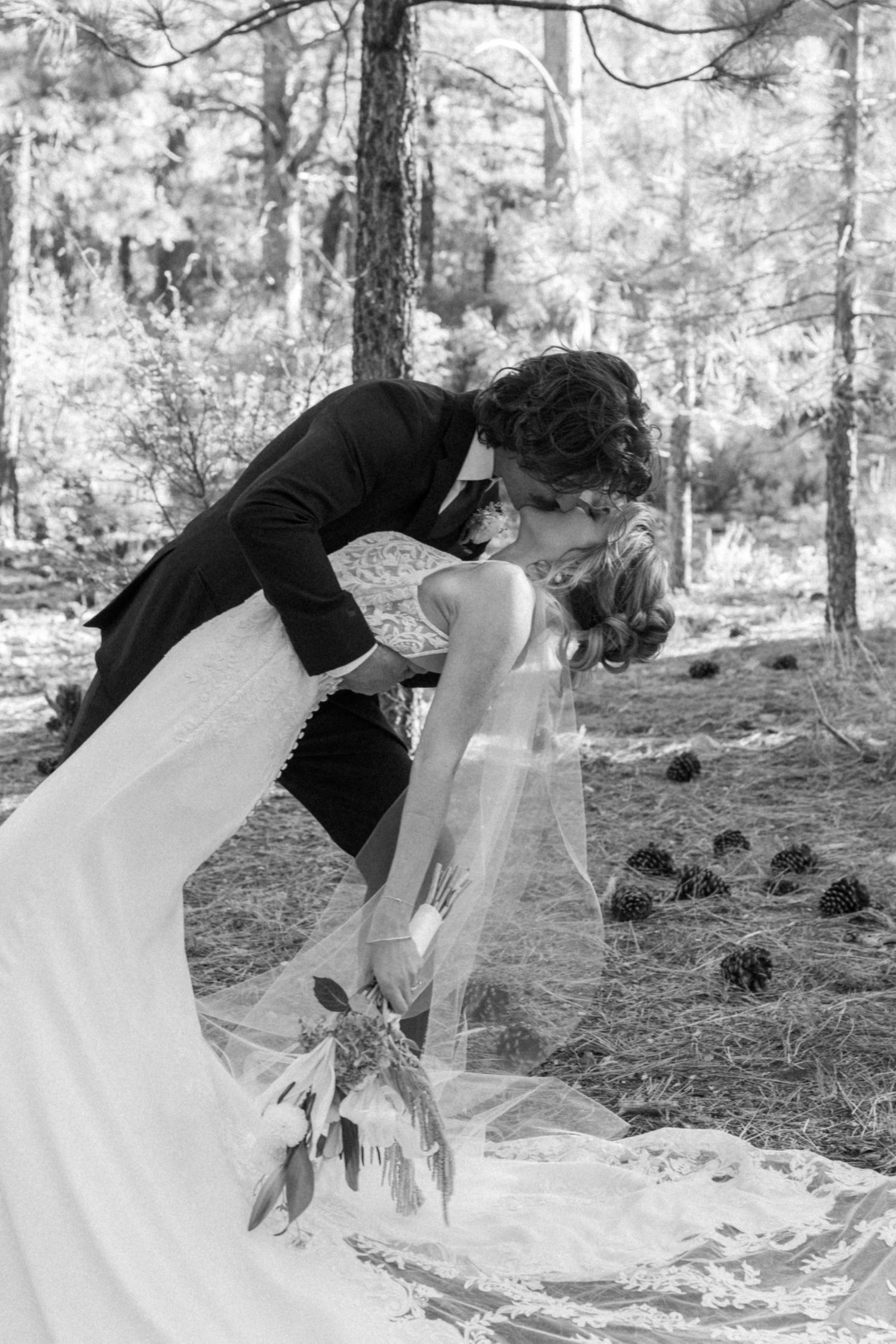 A romantic dip pose captured in a series of shots among pine trees and fallen pine cones.