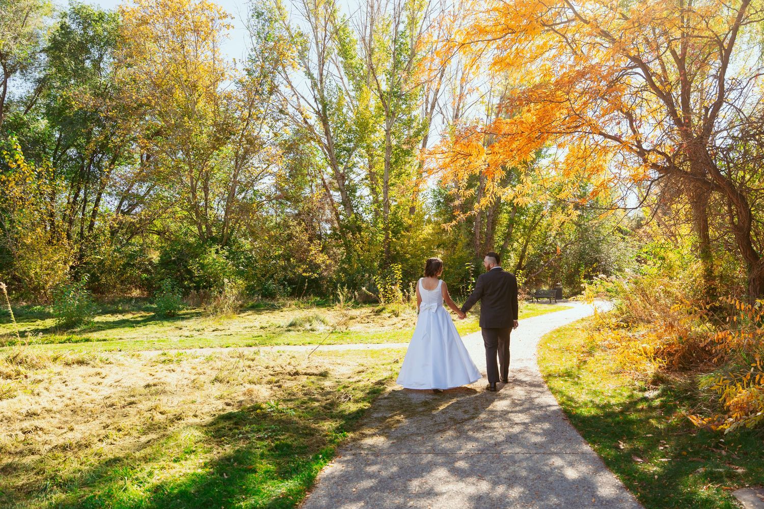 A scenic autumn path winds through trees with golden leaves.