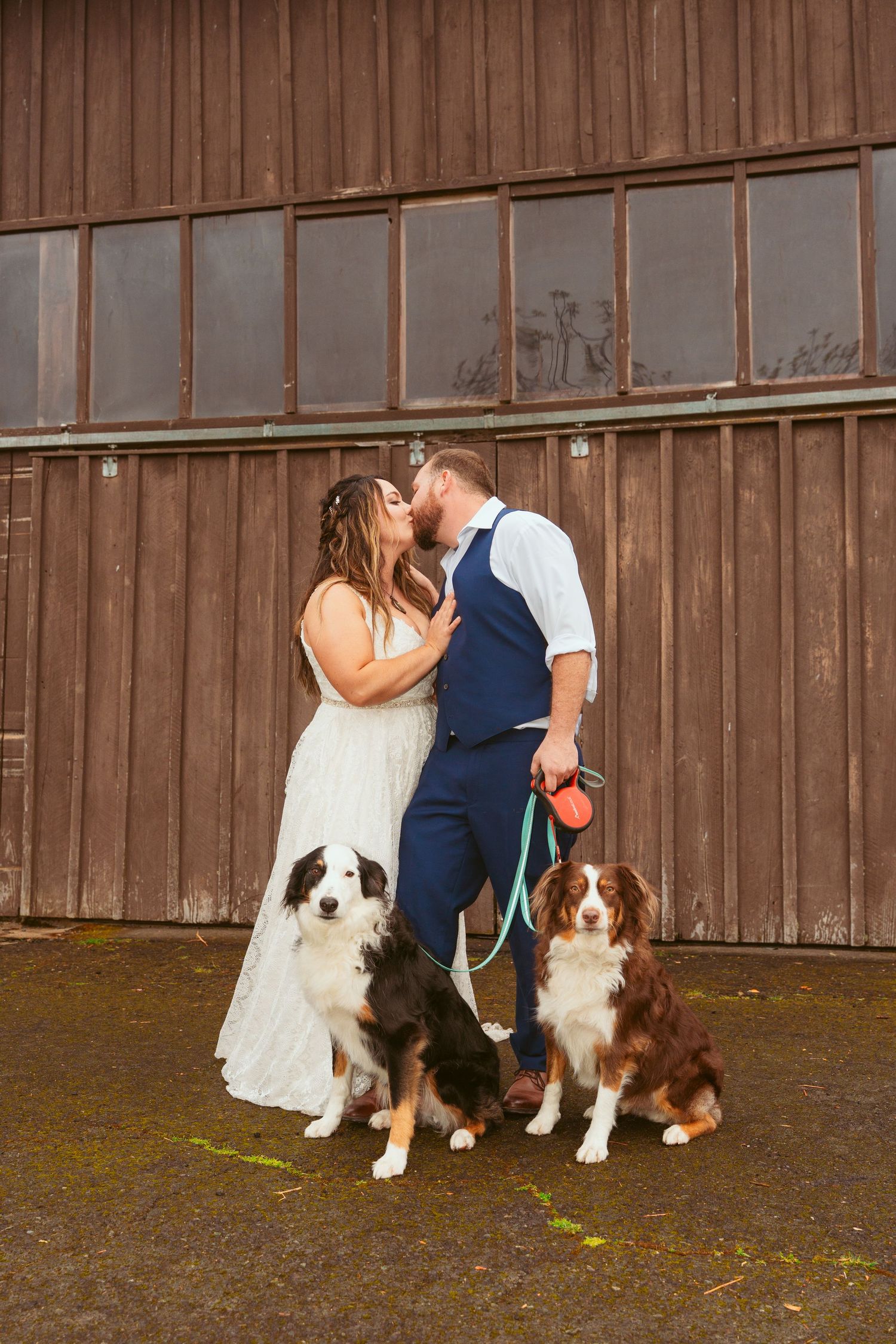 Romantic moment between newlyweds with their dogs against rustic barn setting.