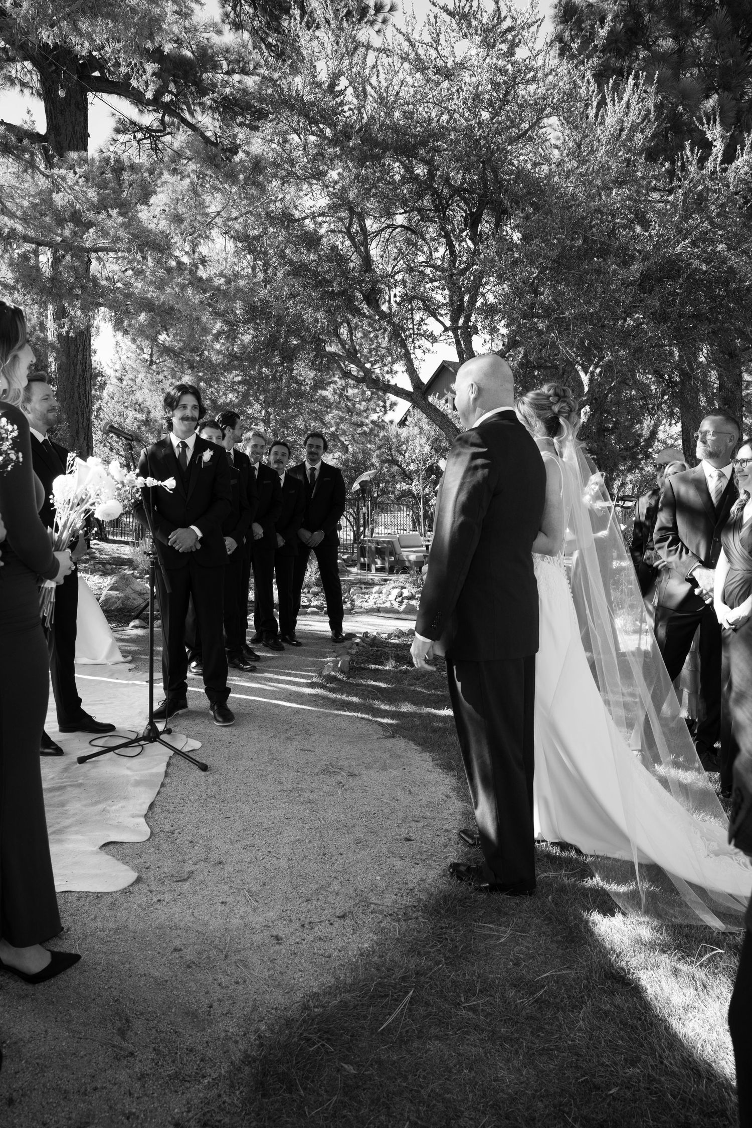 Wide angle view of wedding ceremony attendees gathered under trees in a natural outdoor setting.