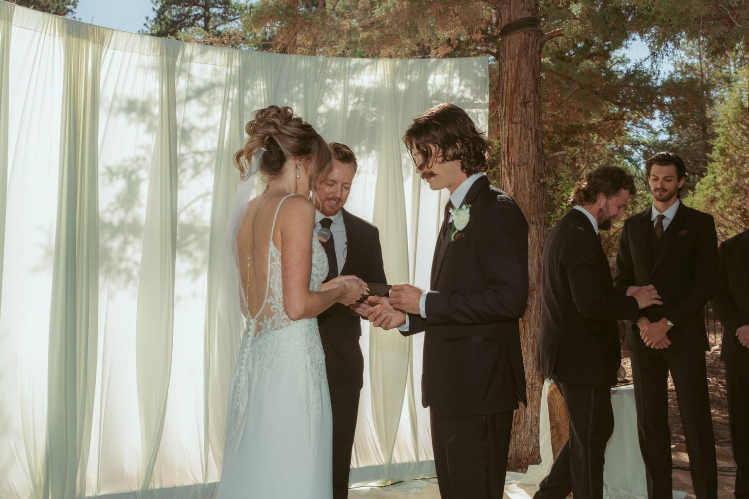 An outdoor wedding ceremony unfolds beneath tall trees with white fabric backdrop.