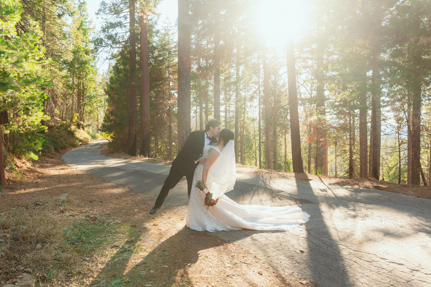 Golden sunlight streams through pine trees during an outdoor wedding photo session.
