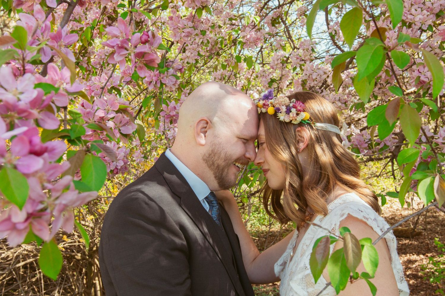Romantic wedding portraits captured under blooming pink cherry blossom trees in springtime.