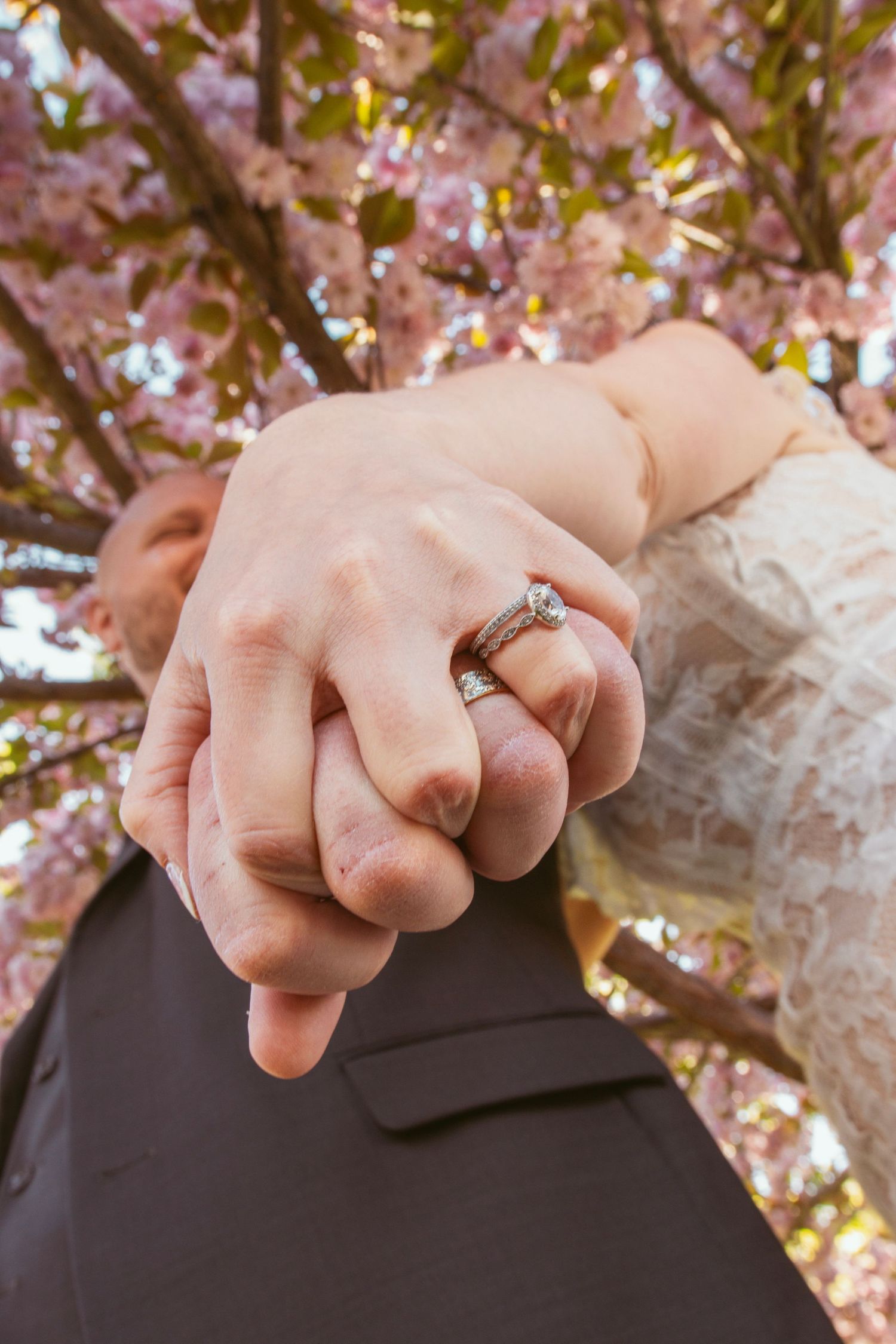 Close-up of hands with wedding rings against pink cherry blossoms.