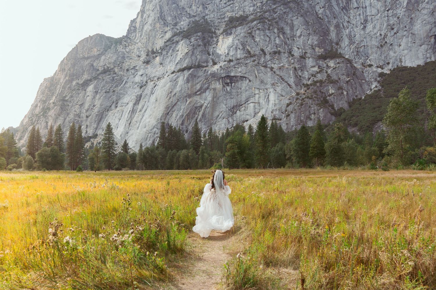 Bride in white wedding gown standing on a path in a golden meadow with towering granite cliffs at Yosemite.