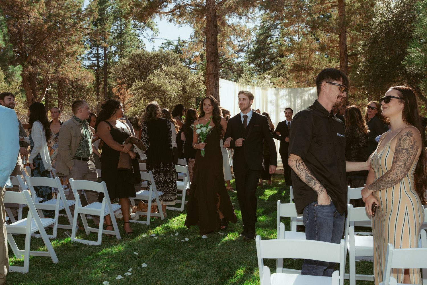 Wedding celebration in progress under pine trees with guests and white folding chairs.