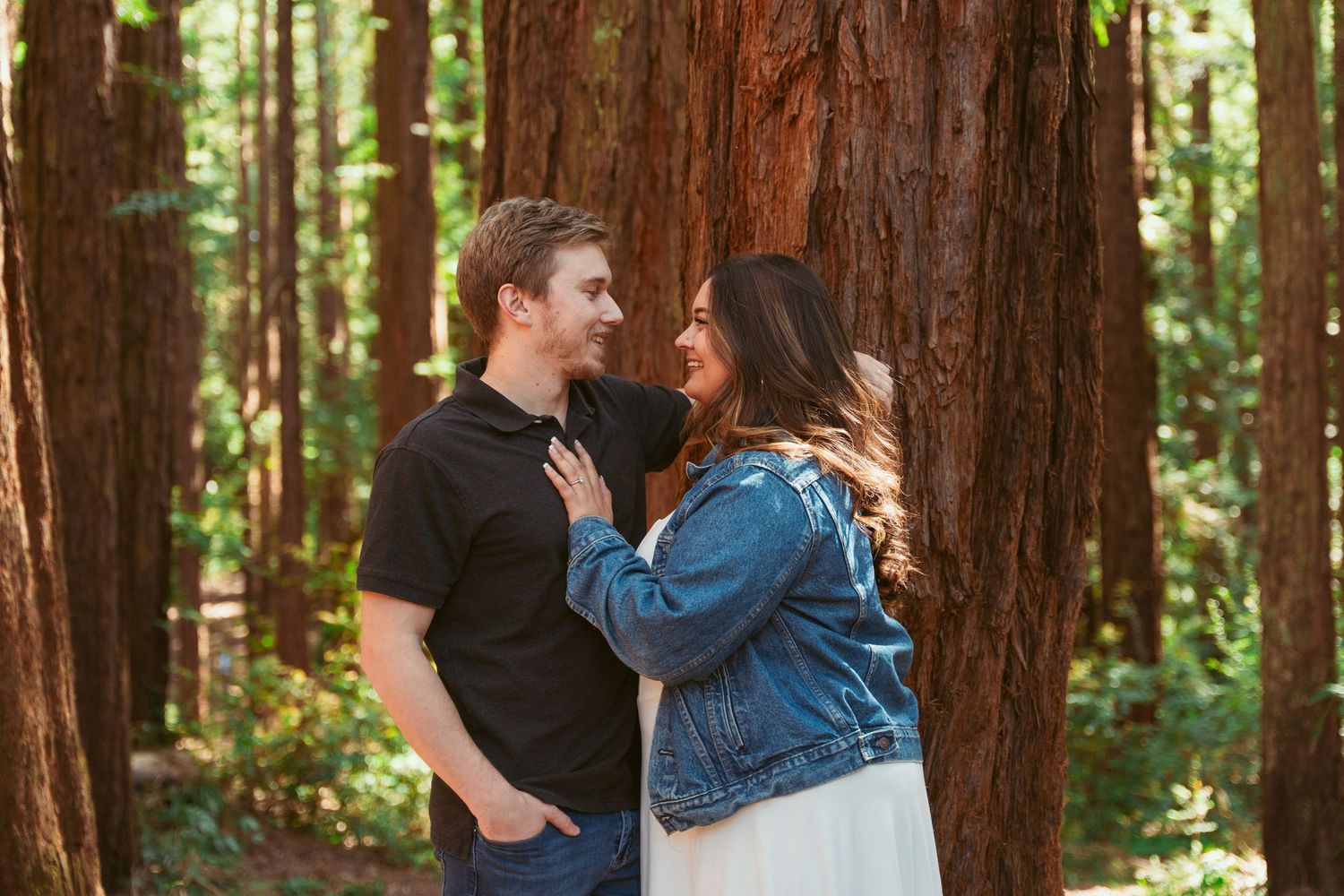 A romantic couple shares an intimate moment among towering redwood trees in a sunlit forest.